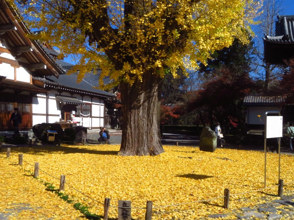 虎渓山永保寺_a0018655_10415573.jpg