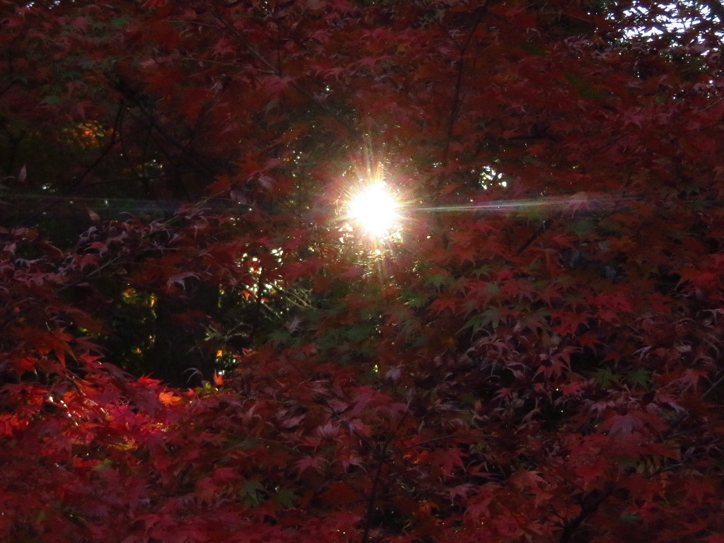 虎渓山永保寺_a0018655_10433124.jpg