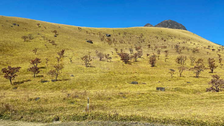 由布岳登山口からの由布岳の眺め_b0063958_21572473.jpg