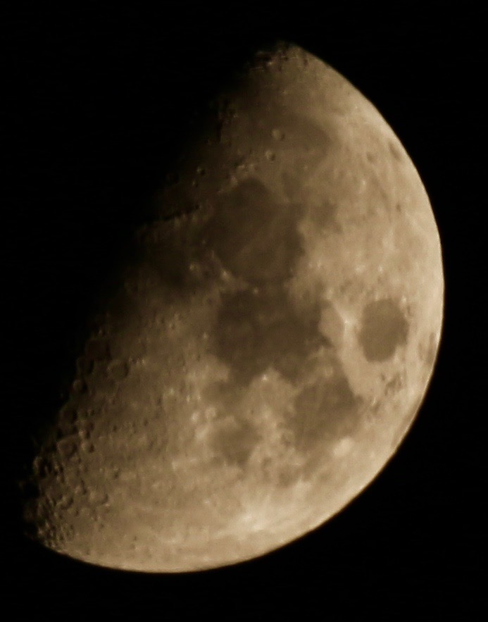 マンドリン。。。 ! !_a0248459_15080820.jpg