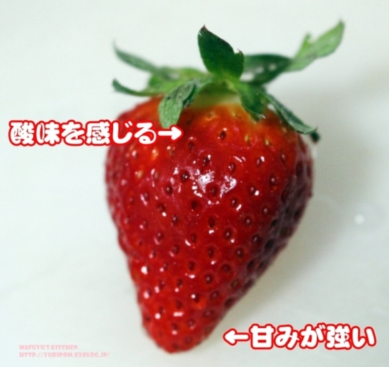 ぎふベジ】いちご（美濃娘）編① ～ いちごのお話と知って損は無い