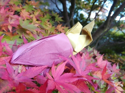 むべなるかな…_b0368362_07553452.jpg