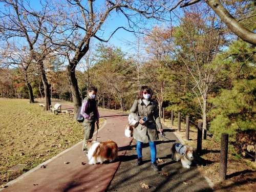 ペンションシェルティの前に まみみ暮らし ペンションシェルティの前に まみみ暮らし