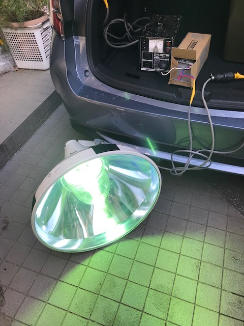 採集・採集道具 Hunter オフシーズンの採集準備 : ドルクスハンターブログ
