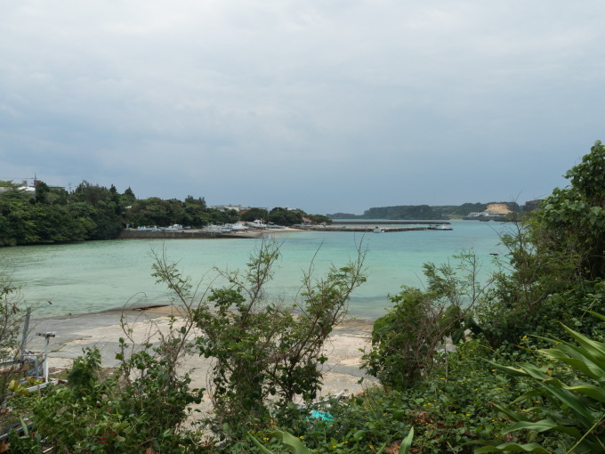 2020.4月石垣島小浜島やんばるの森vol5～”やんばる”と海中道路～_f0276498_00071407.jpg