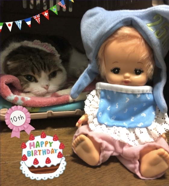 11 25たんたん10才誕生日 まゆみのお絵描き絵手紙 11 25たんたん10才誕生日 まゆみのお絵描き絵手紙