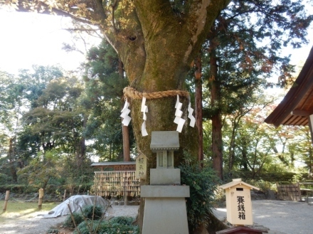 武田神社　武田信玄公を祀る神社　甲斐国総鎮護　山梨県甲府市　_e0342205_01271248.jpg