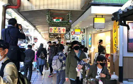 等閑と放縦の全体主義 – ただちにGoTo中止と緊急事態宣言の発動を_c0315619_15084296.png