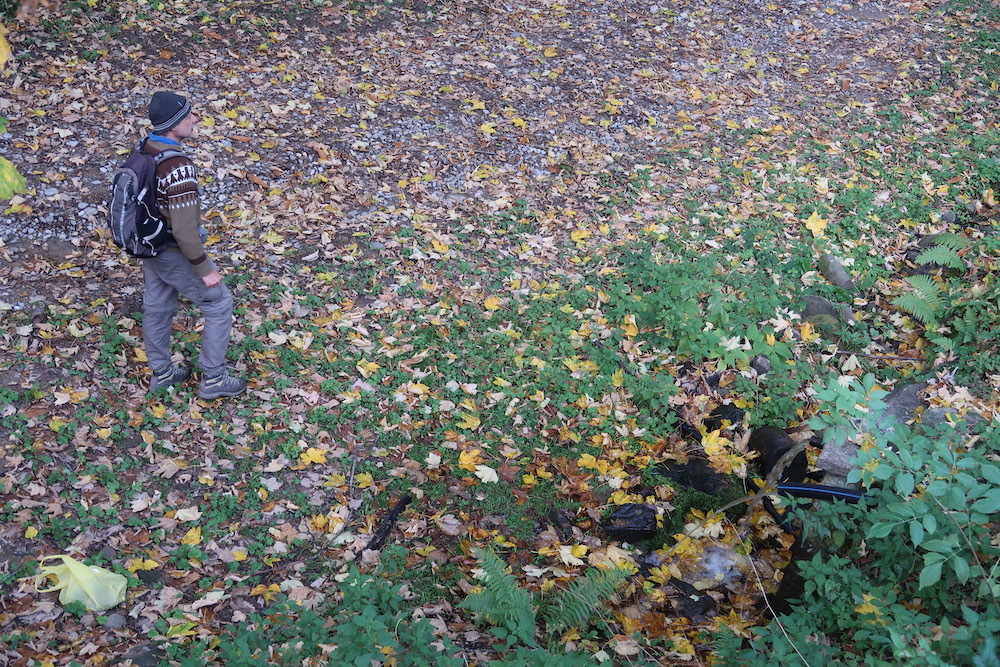 紅葉もきれい栗拾った森カゼンティーノ、トスカーナ_f0234936_06145083.jpeg