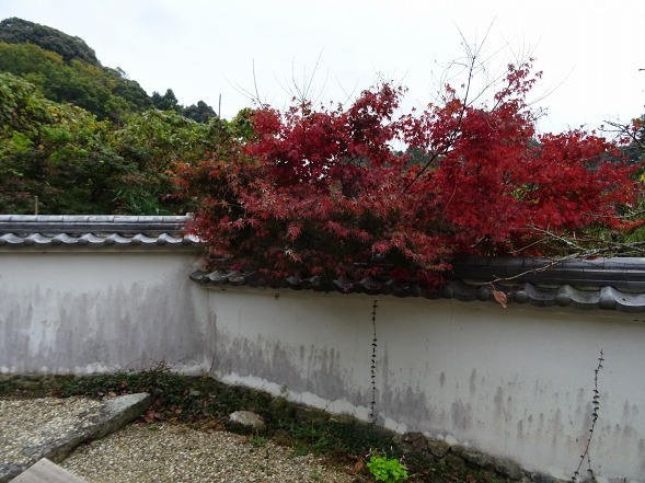 長岳寺の紅葉_b0299042_19245798.jpg