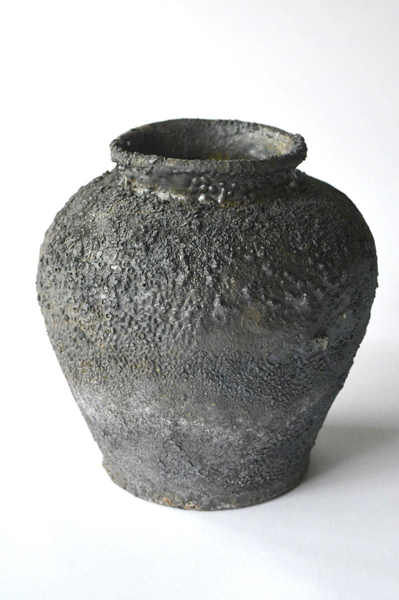 「鶴野啓司展 名もなき土」5日目-4_d0087761_15260339.jpg