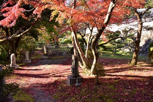 落葉の山城の夜明け　　高取城址_c0303868_14184549.jpg