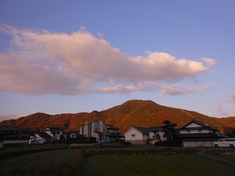 赤く萌える安浦の低山_e0175370_14145812.jpg