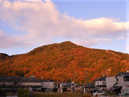 赤く萌える安浦の低山_e0175370_14151829.jpg