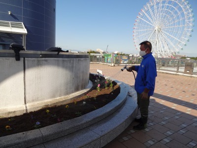 名古屋港水族館前花壇の植栽R2.11.11_d0338682_16514970.jpg