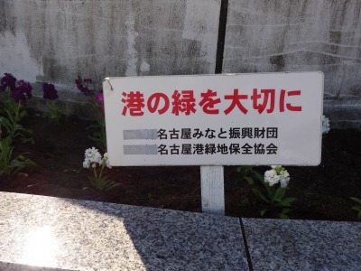 名古屋港水族館前花壇の植栽R2.11.11_d0338682_16521421.jpg