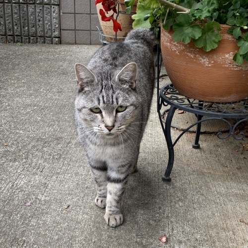 お客さま_e0358096_21332363.jpeg