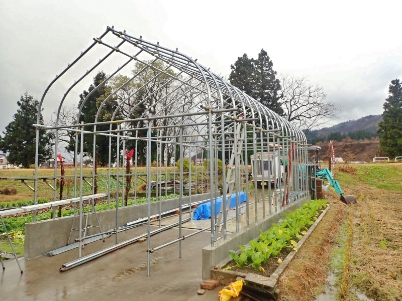 連休最後の兼業農家は小さな家庭菜園の片付けをすることに・・・_c0336902_18582379.jpg