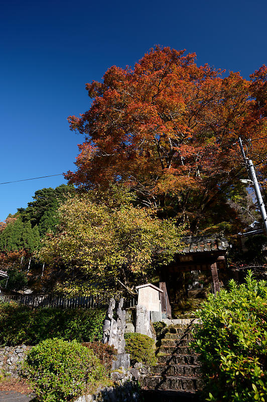 2020京都の紅葉・小野郷　内緒のお寺_f0032011_19004236.jpg