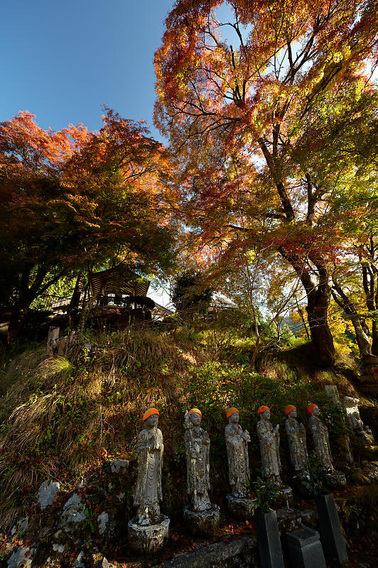 2020京都の紅葉・小野郷　内緒のお寺_f0032011_19004242.jpg