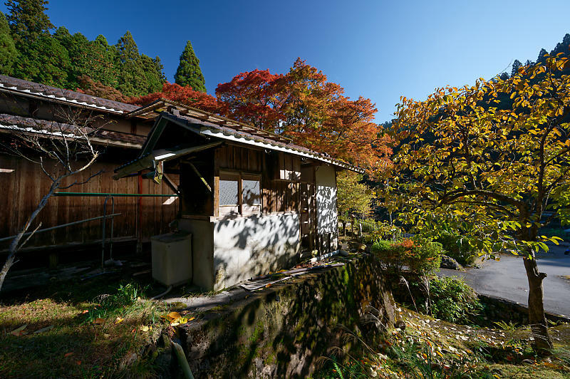 2020京都の紅葉・小野郷　内緒のお寺_f0032011_19025011.jpg