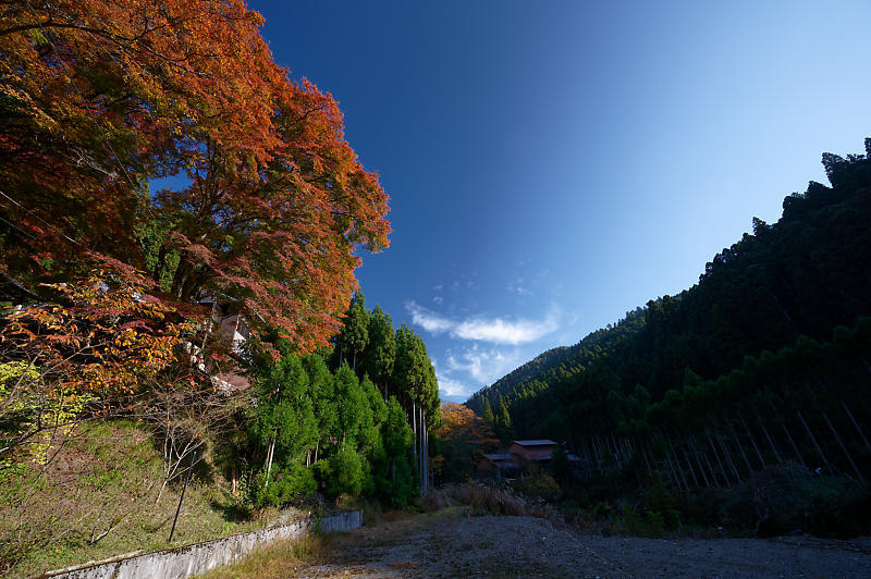 2020京都の紅葉・小野郷　内緒のお寺_f0032011_19025037.jpg