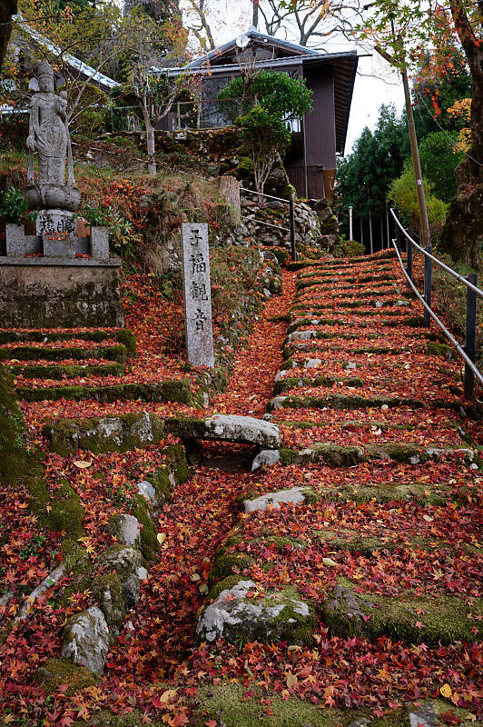 2020京都の紅葉・小野郷　内緒のお寺_f0032011_19025065.jpg