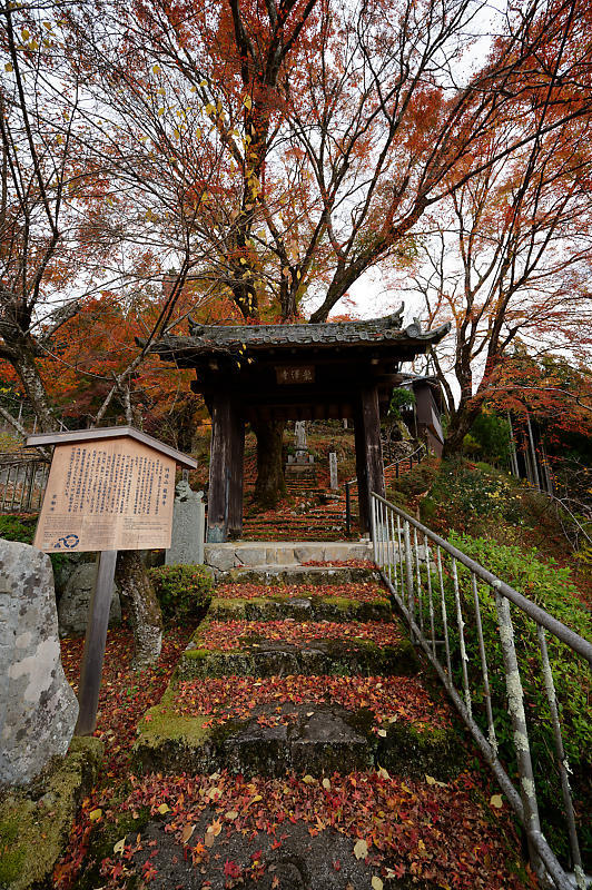 2020京都の紅葉・小野郷　内緒のお寺_f0032011_19025080.jpg