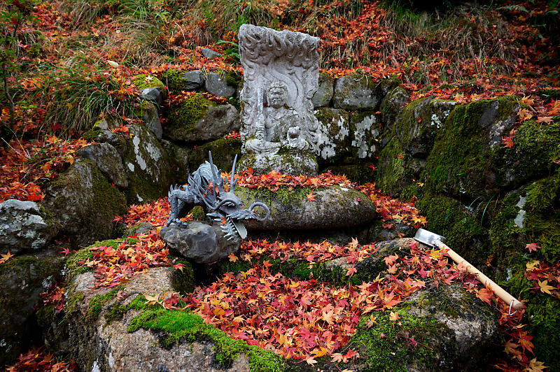 2020京都の紅葉・小野郷　内緒のお寺_f0032011_19025148.jpg