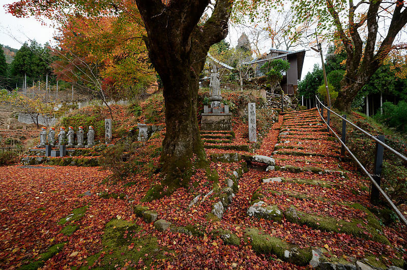 2020京都の紅葉・小野郷　内緒のお寺_f0032011_19025195.jpg