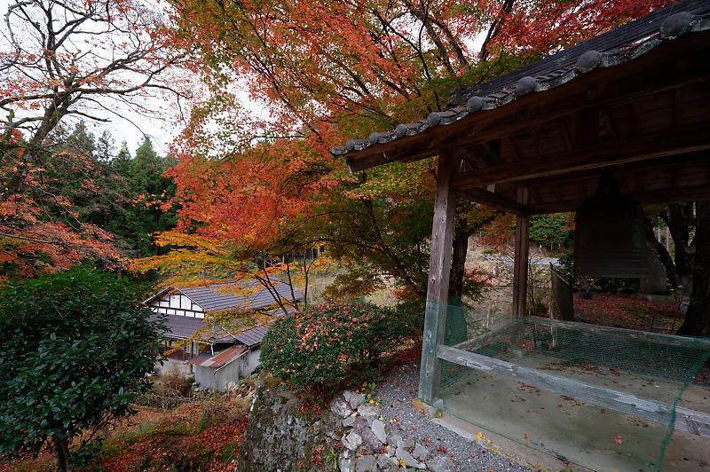 2020京都の紅葉・小野郷　内緒のお寺_f0032011_19050659.jpg