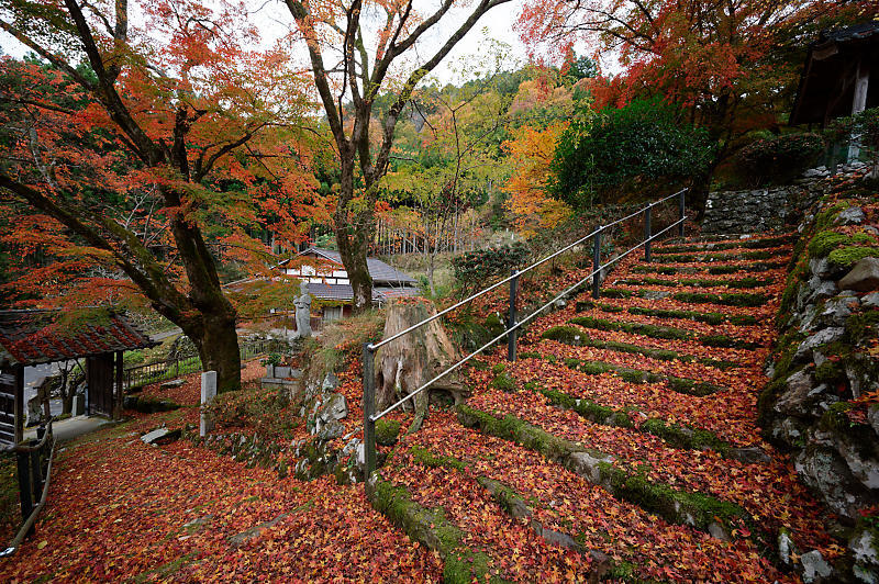 2020京都の紅葉・小野郷　内緒のお寺_f0032011_19050660.jpg