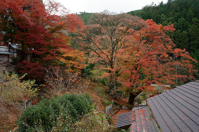 2020京都の紅葉・小野郷　内緒のお寺_f0032011_19050698.jpg