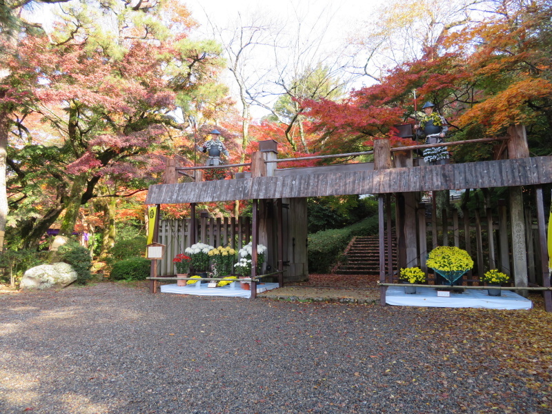 紅葉真っ盛り 金華山 328 9m 登頂 編 風の便り