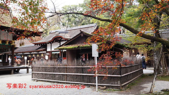 下鴨神社に行く11月(2020)-1_b0398018_15240690.jpg