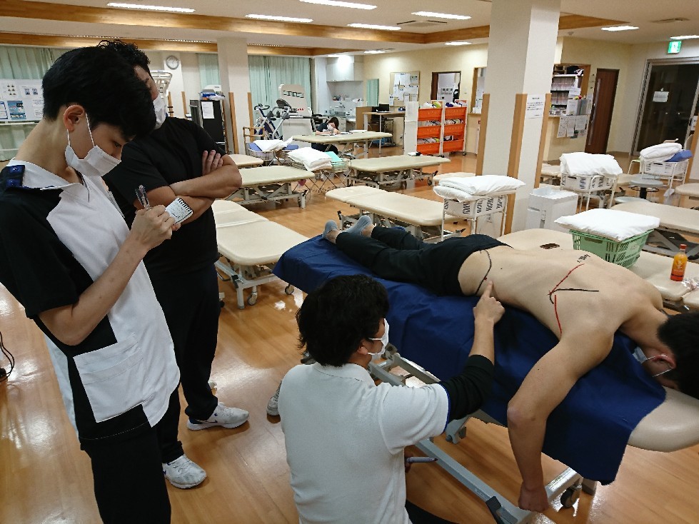 第184回TOC体表解剖勉強会|広背筋の触察_b0329026_19214716.jpg