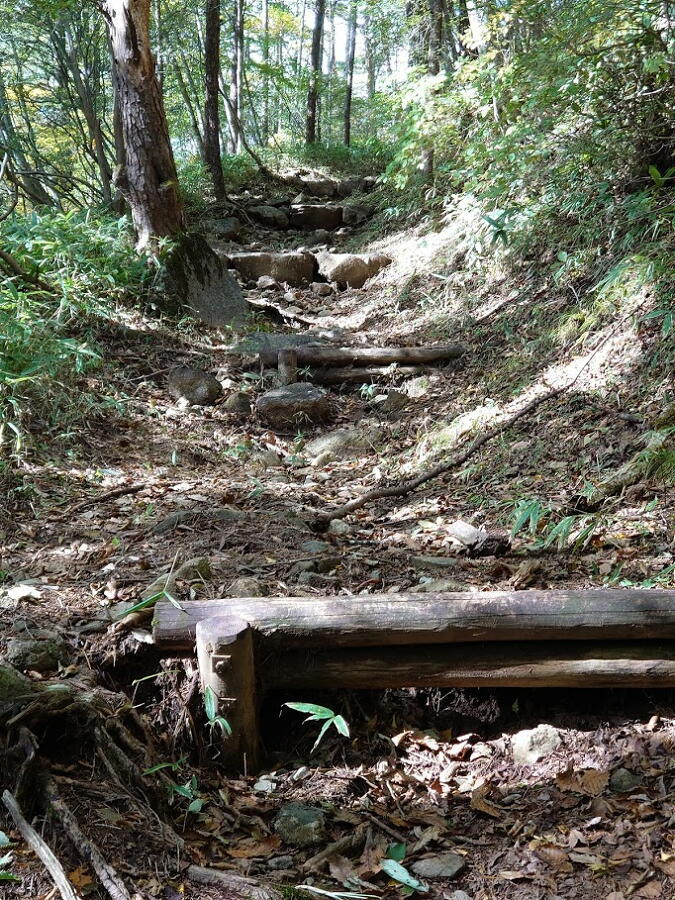 渋滞の日光を避けて栃木県民の森へ_d0137627_22234618.jpg