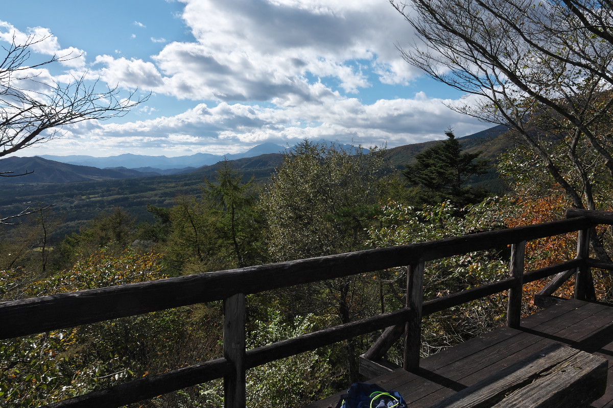 渋滞の日光を避けて栃木県民の森へ_d0137627_22420959.jpg