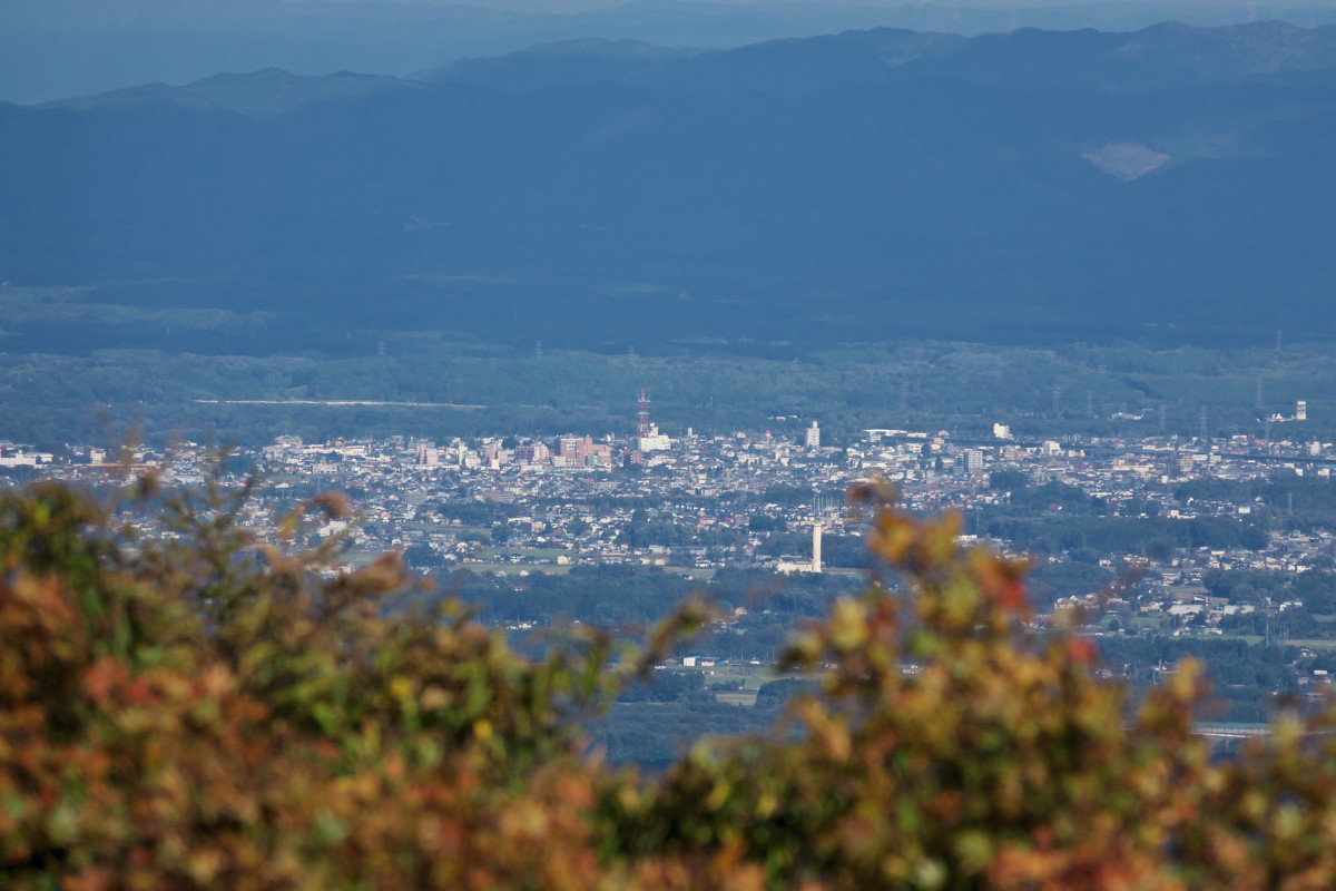 渋滞の日光を避けて栃木県民の森へ_d0137627_23020056.jpg