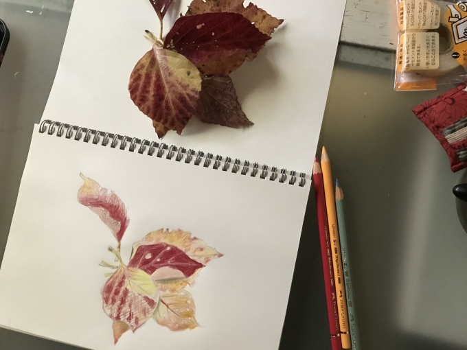 身近な紅葉_d0101846_17053211.jpeg