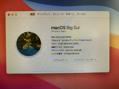 Mac mini(Late2014)にSSDを増設_e0195647_23222376.jpg