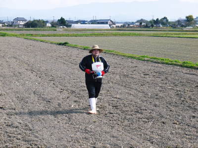 熊本の美味しいお米大好評発売中！その2　七城町砂田のれんげ米のこだわり紹介！_a0254656_17580712.jpg