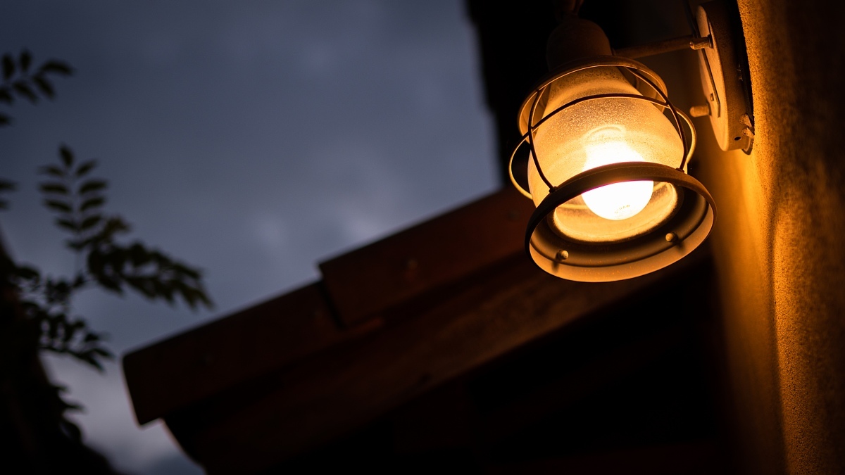 晩秋から初冬に遷移しつつある逢魔が時に跳梁跋扈する光蜥蜴_d0353489_15181564.jpg