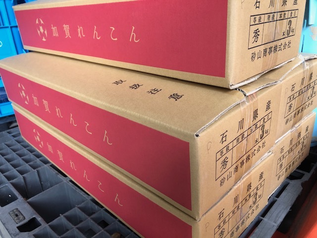 加賀蓮根!販売開始!_e0183792_17134607.jpg