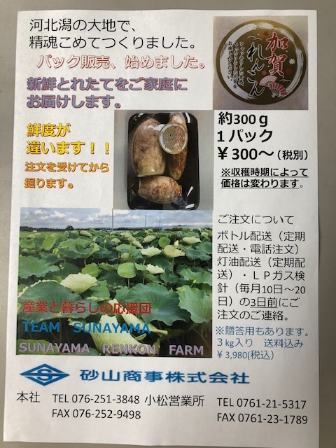 加賀蓮根!販売開始!_e0183792_17142353.jpg