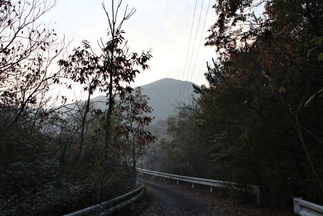熊山登山 段谷尾根コースを登る!の巻_f0325295_14042787.jpg