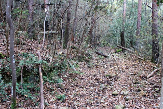 熊山登山 段谷尾根コースを登る!の巻_f0325295_14043180.jpg