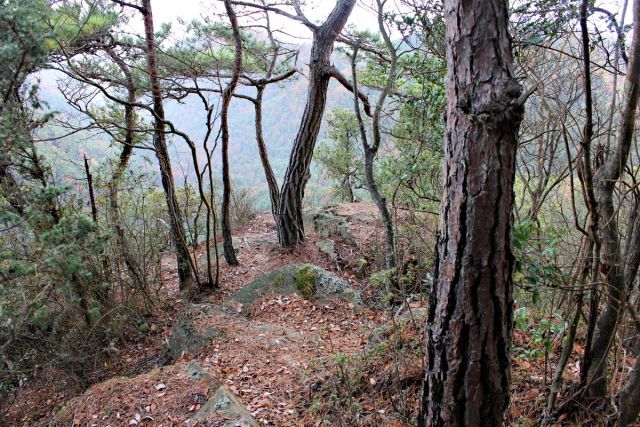 熊山登山 段谷尾根コースを登る!の巻_f0325295_14462055.jpg