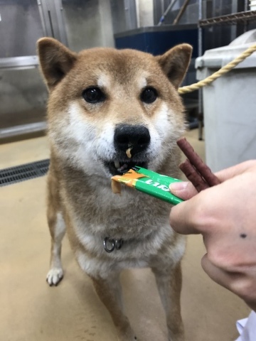 _f0078320_14413023.jpeg