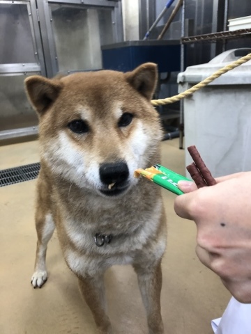 _f0078320_14420276.jpeg